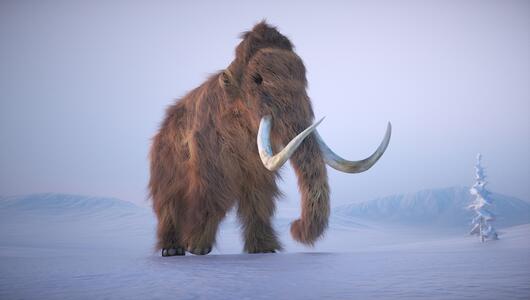 Illustration eines Wollhaarmammuts im Schnee