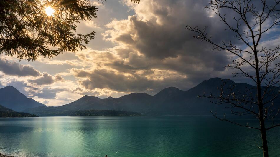 Angler am Walchensee