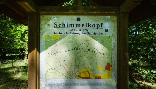 Schimmelkopf - ehemals höchster Ort des Saarlandes