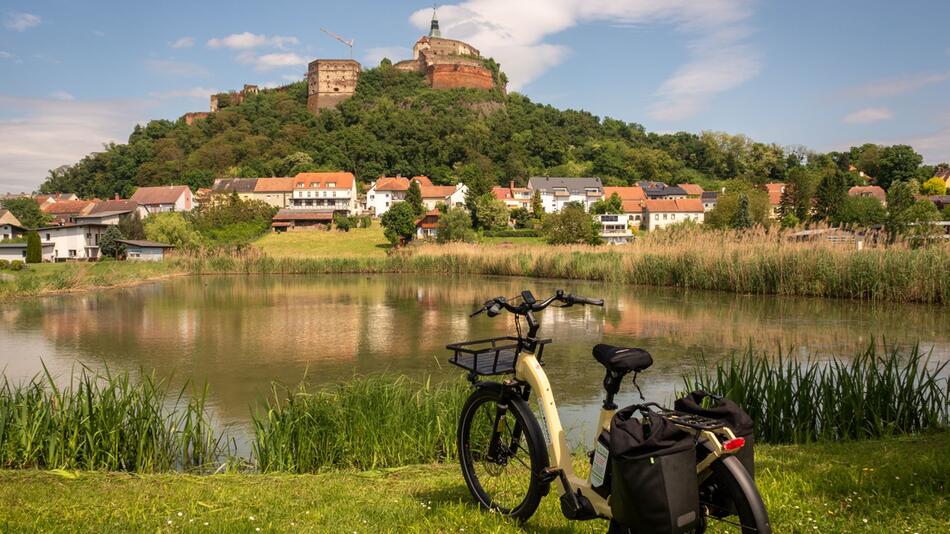 Blick zur Burg Güssing