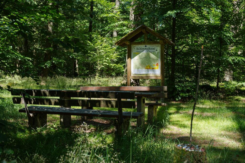 Schimmelkopf - ehemals höchster Ort des Saarlandes