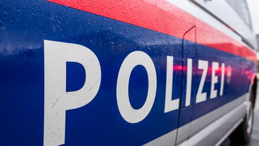 Die Polizei hatte jugendliche Hilfe