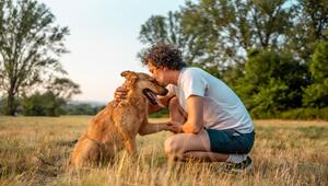 Hund und Herrchen