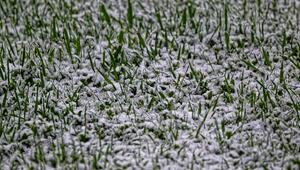 Nahaufnahme eines mit etwas Schnee bedeckten Rasens.