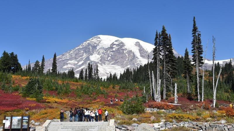 Gelände um den Mount Rainier