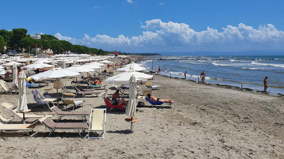 Grado