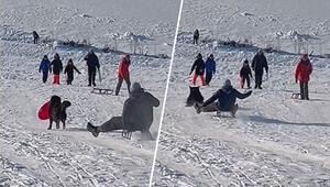 Aus dem Weg gerodelt: Hund überrascht mit Wintersportambitionen