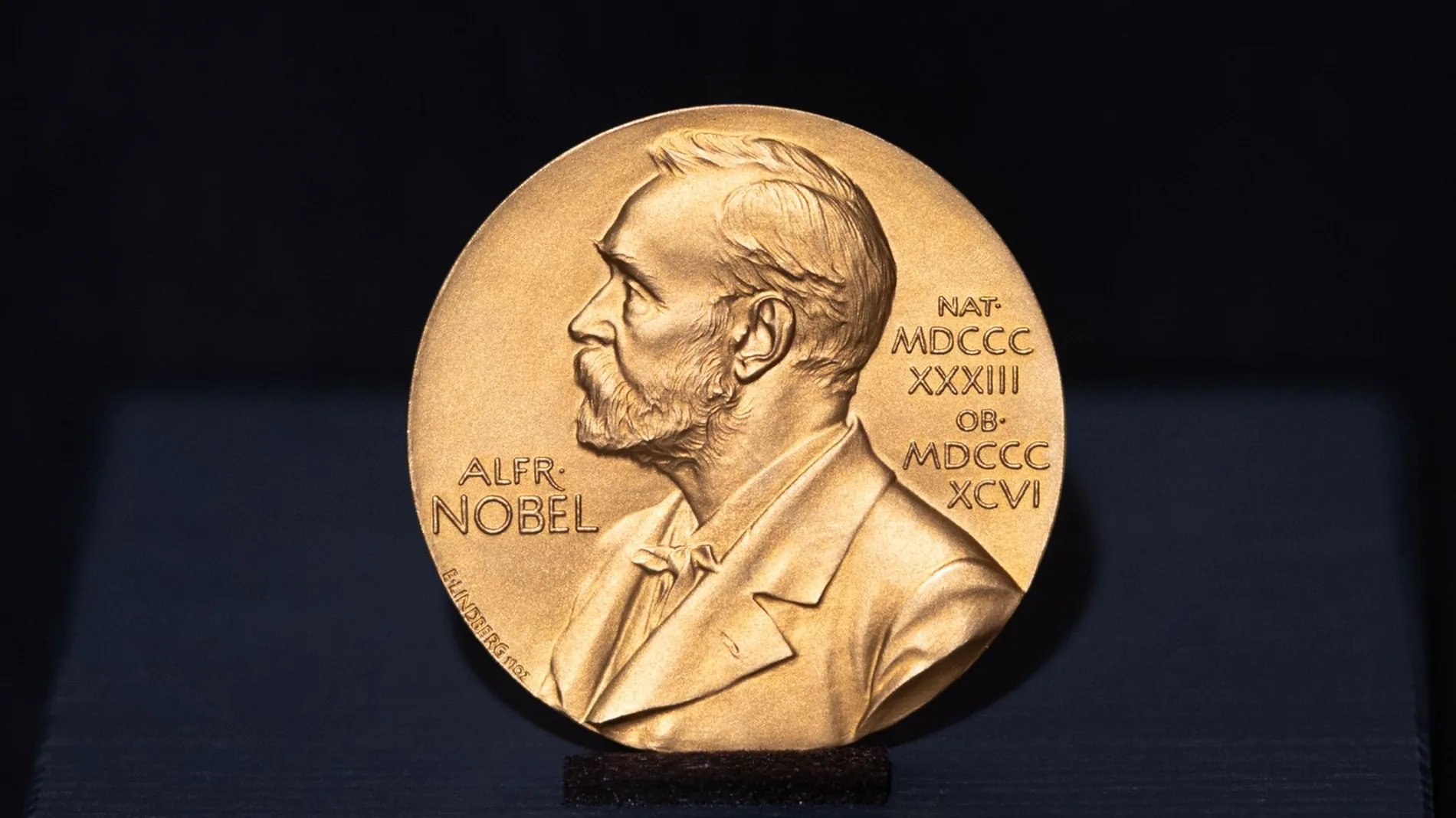 Ecosia schlägt Klima-Nobelpreis vor Ecosia schlägt Klima-Nobelpreis vor