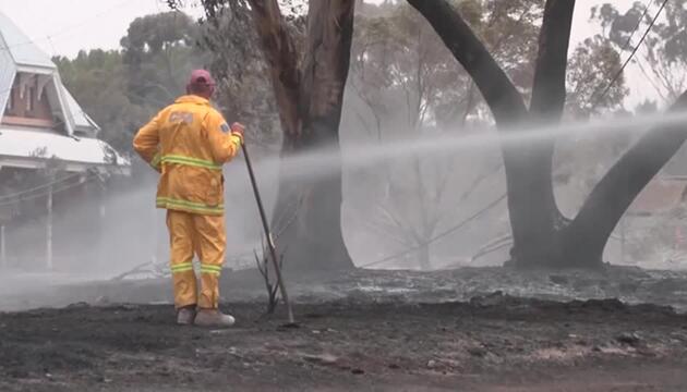 Buschfeuer in Australien vernichten Häuser und Tausende Hektar Vegetation   