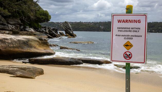 Shark Beach in Sydney
