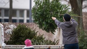 Entsorgung alter Weihnachtsbäume