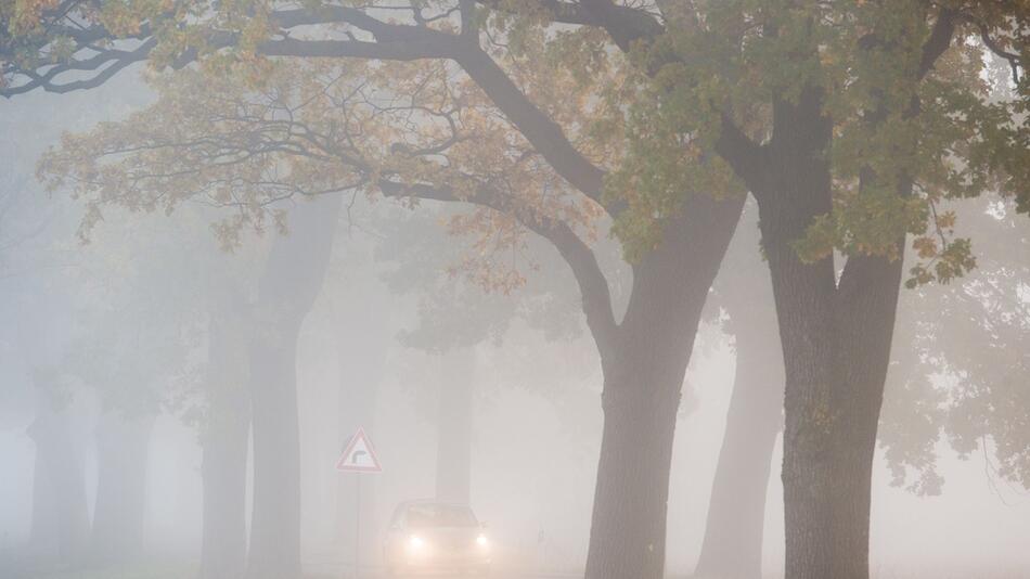 Auto fährt bei Nebel auf einer Landstraße