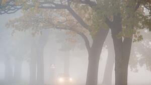 Auto fährt bei Nebel auf einer Landstraße