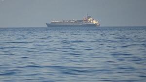 Viehtransporter mit Rindern darf nicht an Land