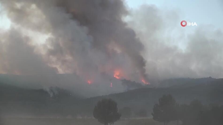 Tote bei Waldbränden in der Türkei