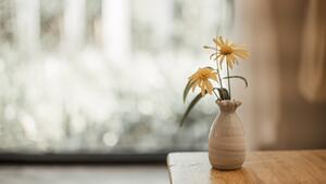 Blumenvase reinigen