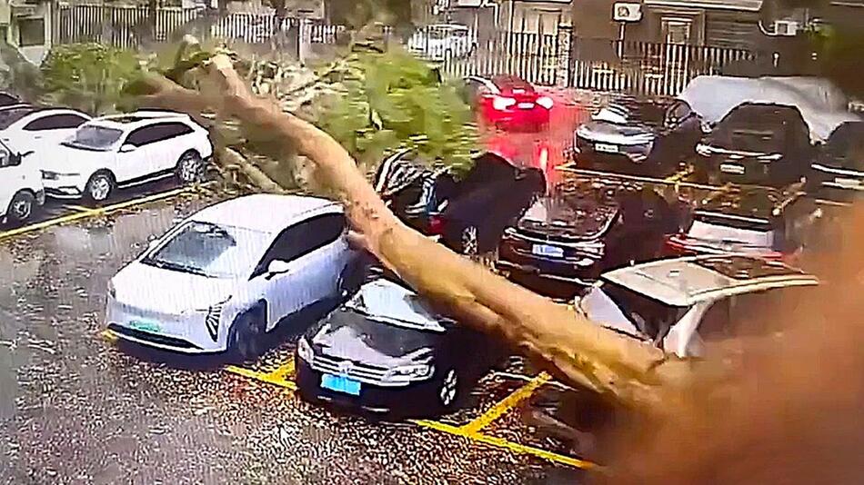 Riesiger Baum stürzt in China auf Autos – Fahrer entkommt um Haaresbreite