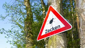 Warnschild Zecken
