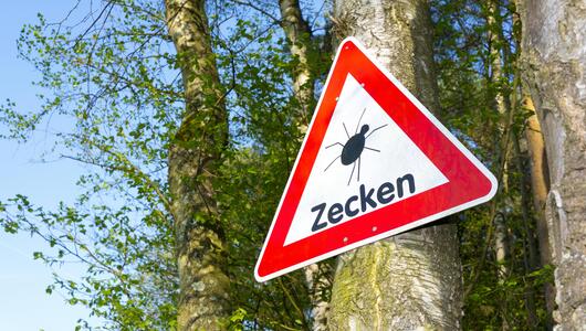 Warnschild Zecken