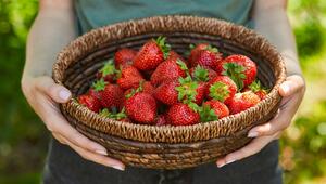 Erdbeeren gehören zu den beliebtesten Saisonfrüchten.