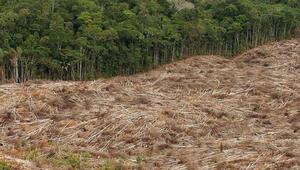 Deutschland fordert Kampf gegen Umweltkriminalität