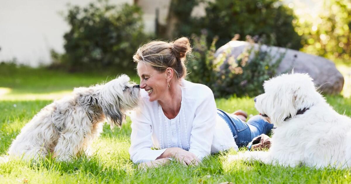 Ein Hundejahr sind sieben Menschenjahre? Forscher widersprechen