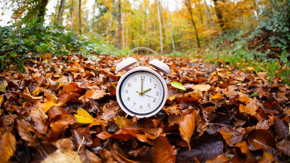 Wecker in Herbstlaub