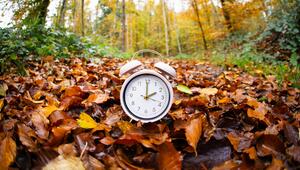 Wecker in Herbstlaub