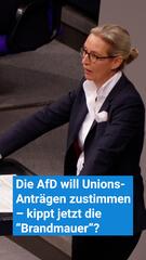 Die AfD will Unions-Anträgen zustimmen – kippt jetzt die Brandmauer"?