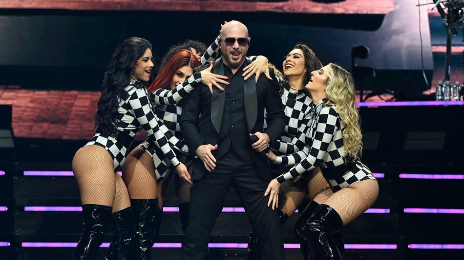Pitbull