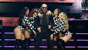 Pitbull