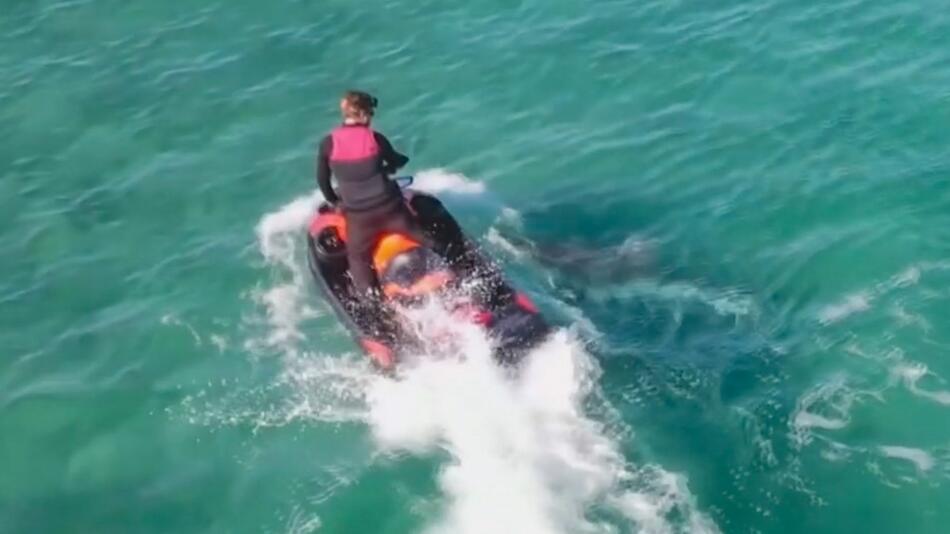 Rick Manning, Jetski, Tigerhai, Australien, North Stradbroke Island, Küste, Attacke