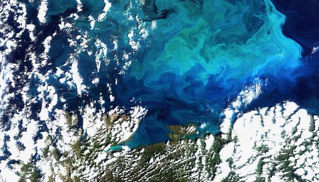 Weniger Plankton durch wärmere Ozeane