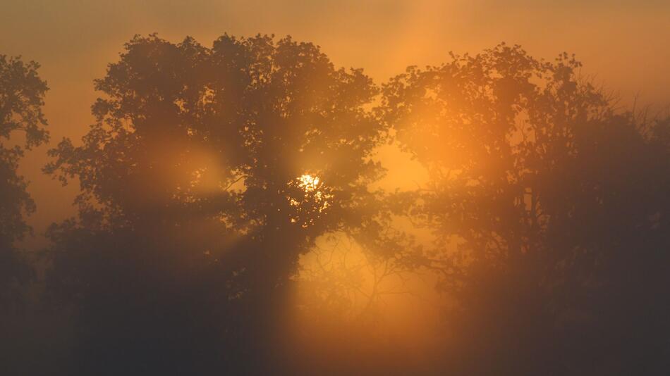 Morgens in Brandenburg