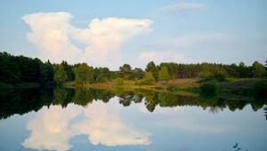 Naturschutzgebiet