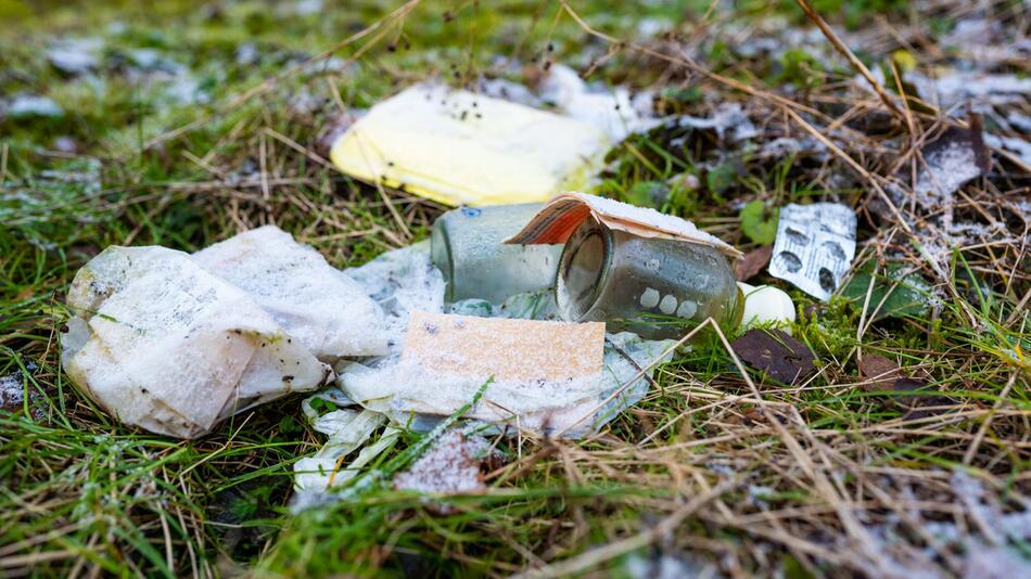 Müll im Wald