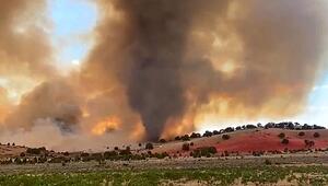 „Rauch-Tornado“: Glühender Wirbel fegt durch Feuer in Utah