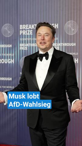 Musk lobt AfD-Wahlsieg
