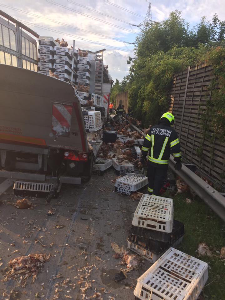 Westautobahn, Hühner, Unfall, Sperre