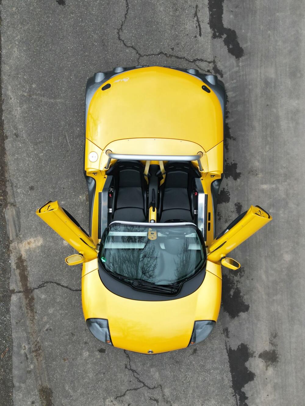 Renault Spider