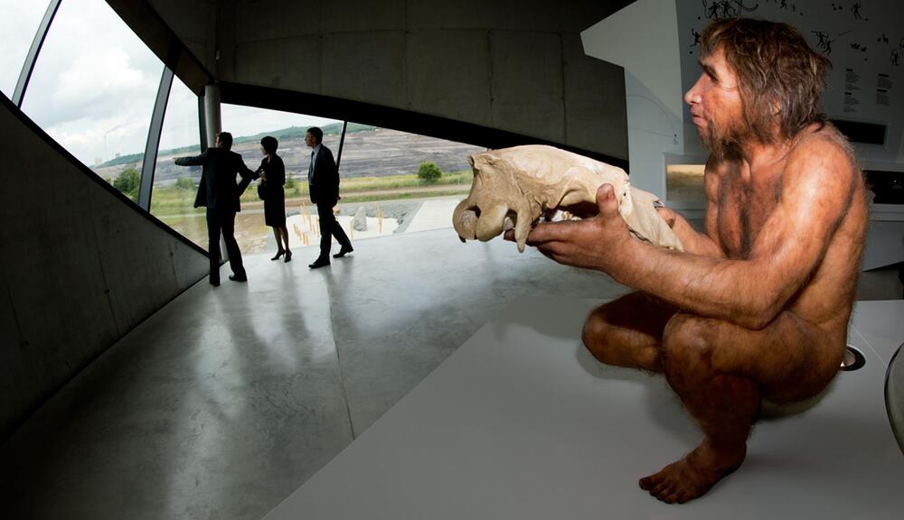 Wachsfigur eines Homo heidelbergensis im Forschungsmuseum