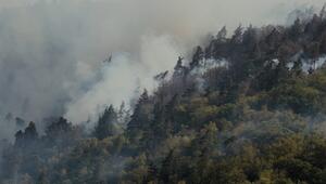 KORREKTUR Waldbrandgefahr: Wie Besucher Br&Atilde;&curren;nde verhindern k&Atilde;&para;nnen
