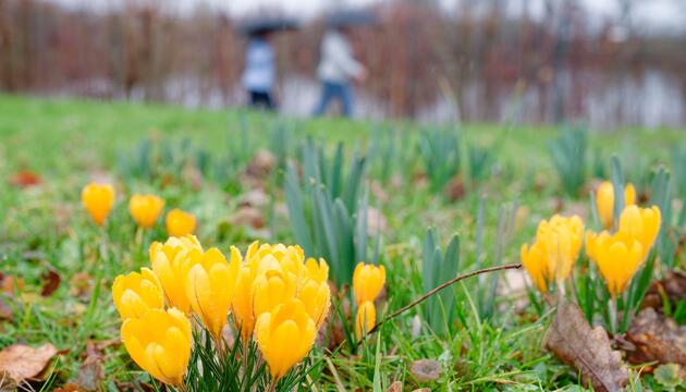 Wetter in Baden-Württemberg