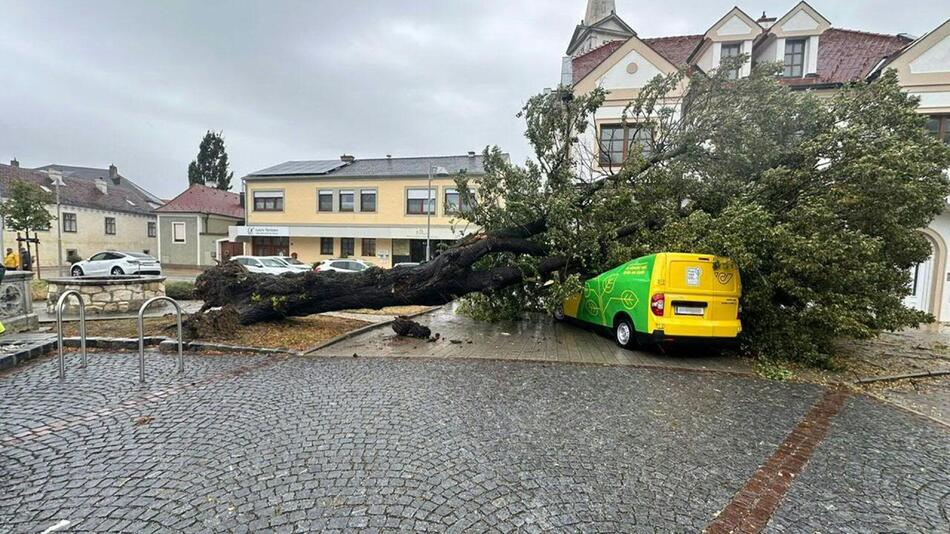 Baum stürzte im Burgenland auf Postauto