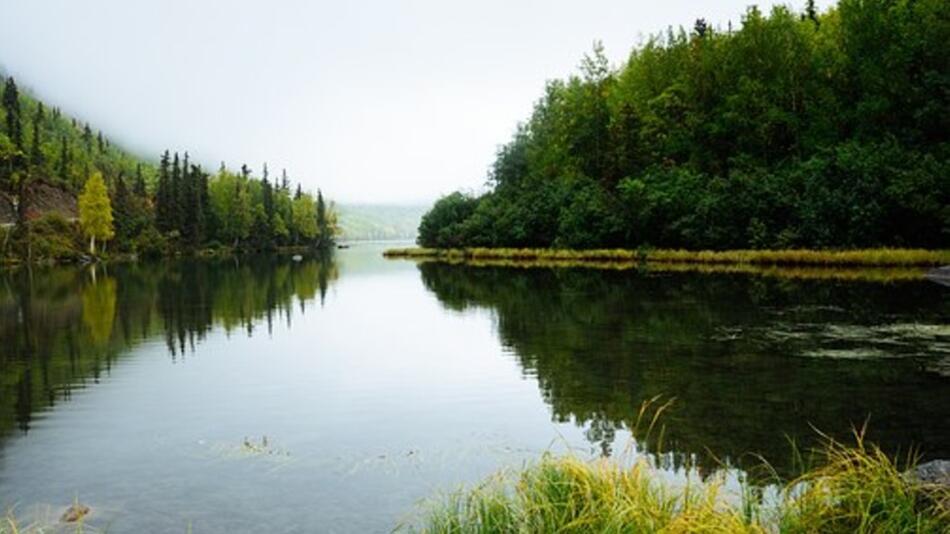 Landschaft, Fluss, See