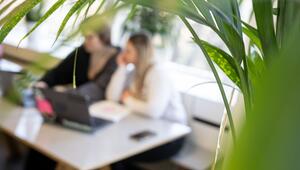 Zwei Frauen im Büro hinter einer Pflanze