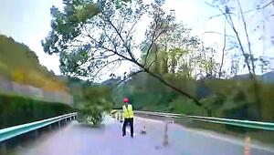 Arbeiter warnt in letzter Sekunde: Autofahrer entgeht knapp einer Katastrophe