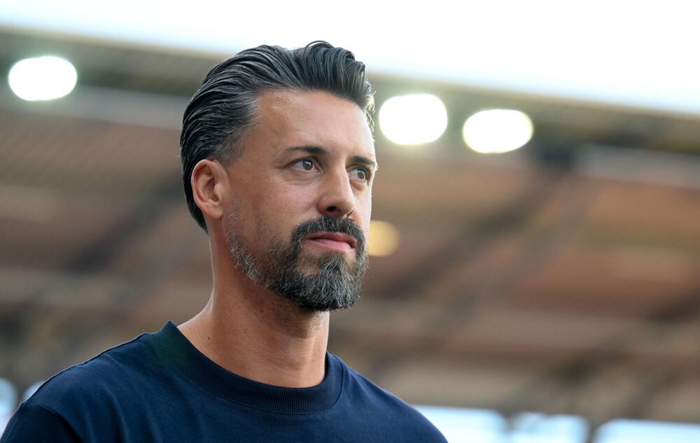 Sandro Wagner