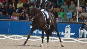 Pferdesport Dressur: Deutsche Meisterschaft