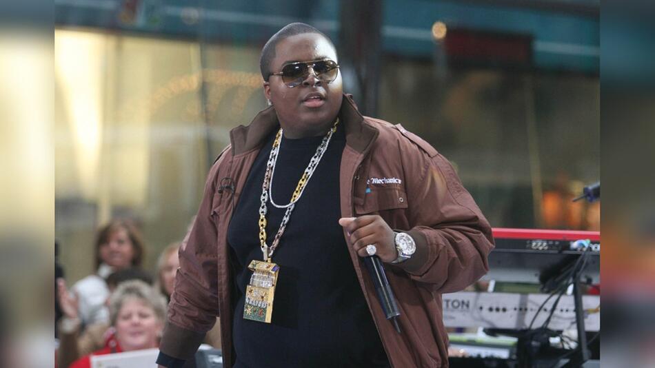 US-Rapper Sean Kingston muss sich in zehn Fällen von Betrug und Diebstahl verantworten.